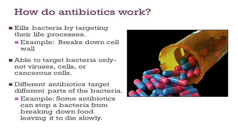 Side Effects Of Antibiotic Which Can Harm You Badly Bits Of Days