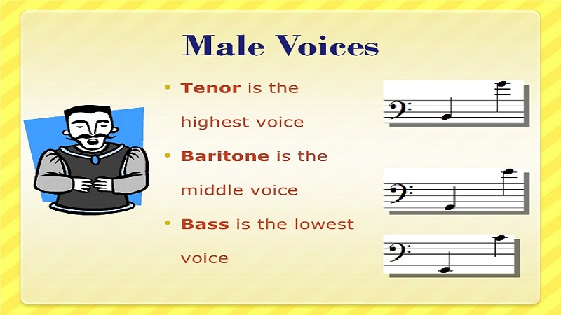 Explanation Of Different Types Of Singing Style Bits Of Days